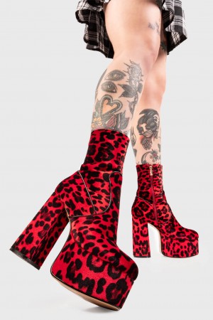 Lamoda Adore You Plataforma Ankle Boots RedLEO | 2316SQGEX