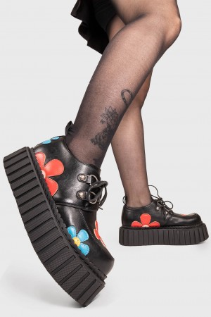 Lamoda Give A Little Fornido Creeper Shoes Negros | 8730KHRME