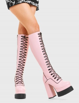 Lamoda Hidden Agenda Creeper Plataforma Knee High Boots Rosas | 5462KUZGM