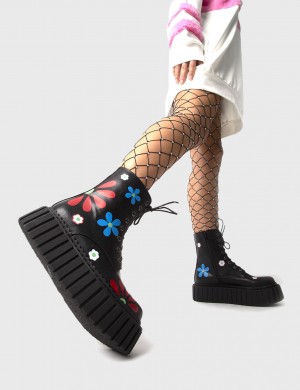 Lamoda Rocking The Daisies Fornido Ankle Creeper Boots Negros | 6093HTSJD